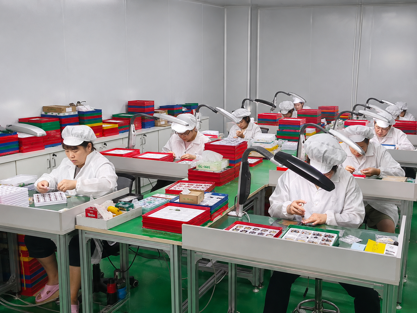 Watch Assembly Workshop